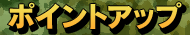 �|�C���g�A�b�v