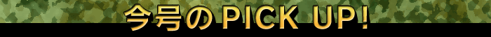 �����̃s�b�N�A�b�v